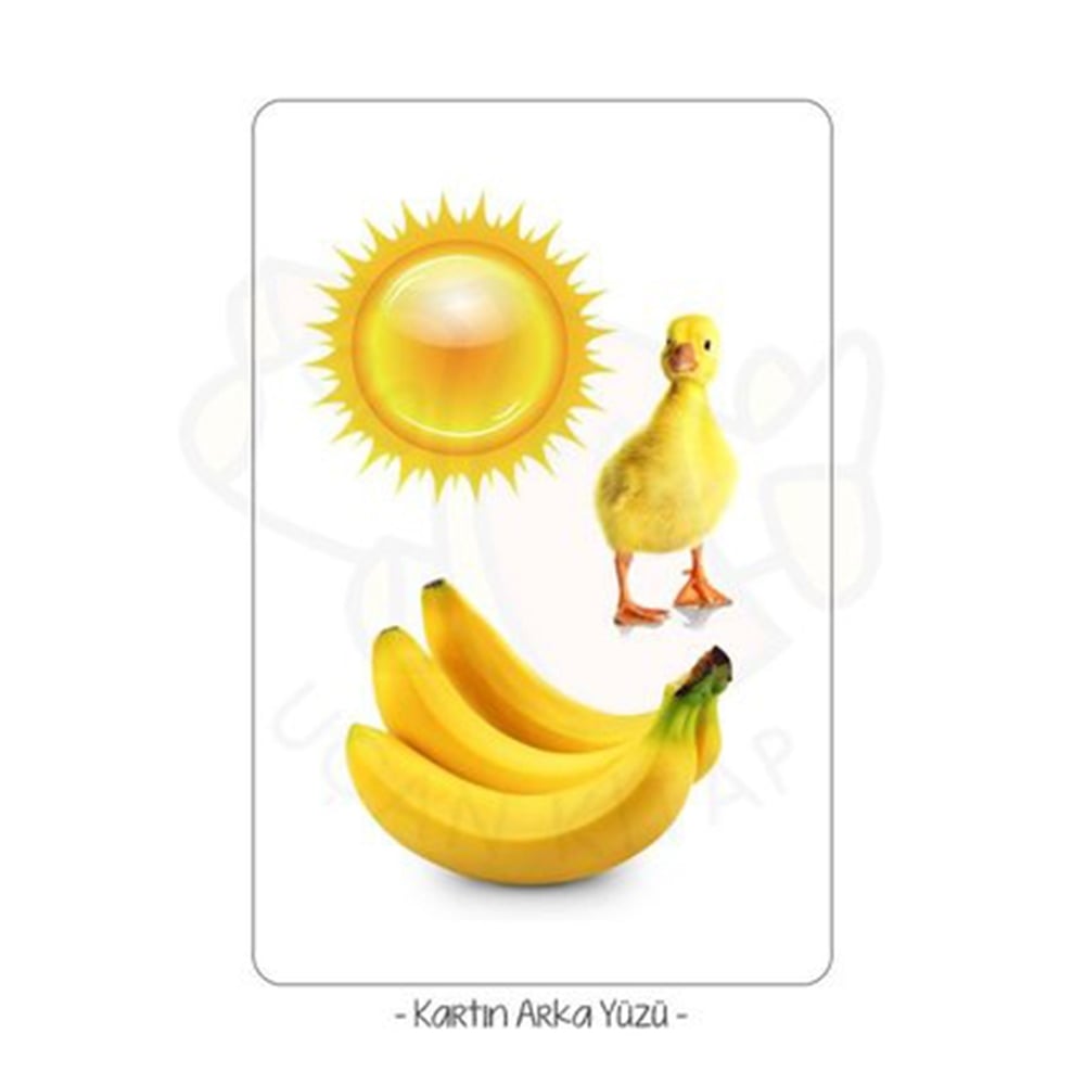 BAK BAK SAKLAMBAÇ Çocuk Kitapları Uzmanı - Children's Books Expert