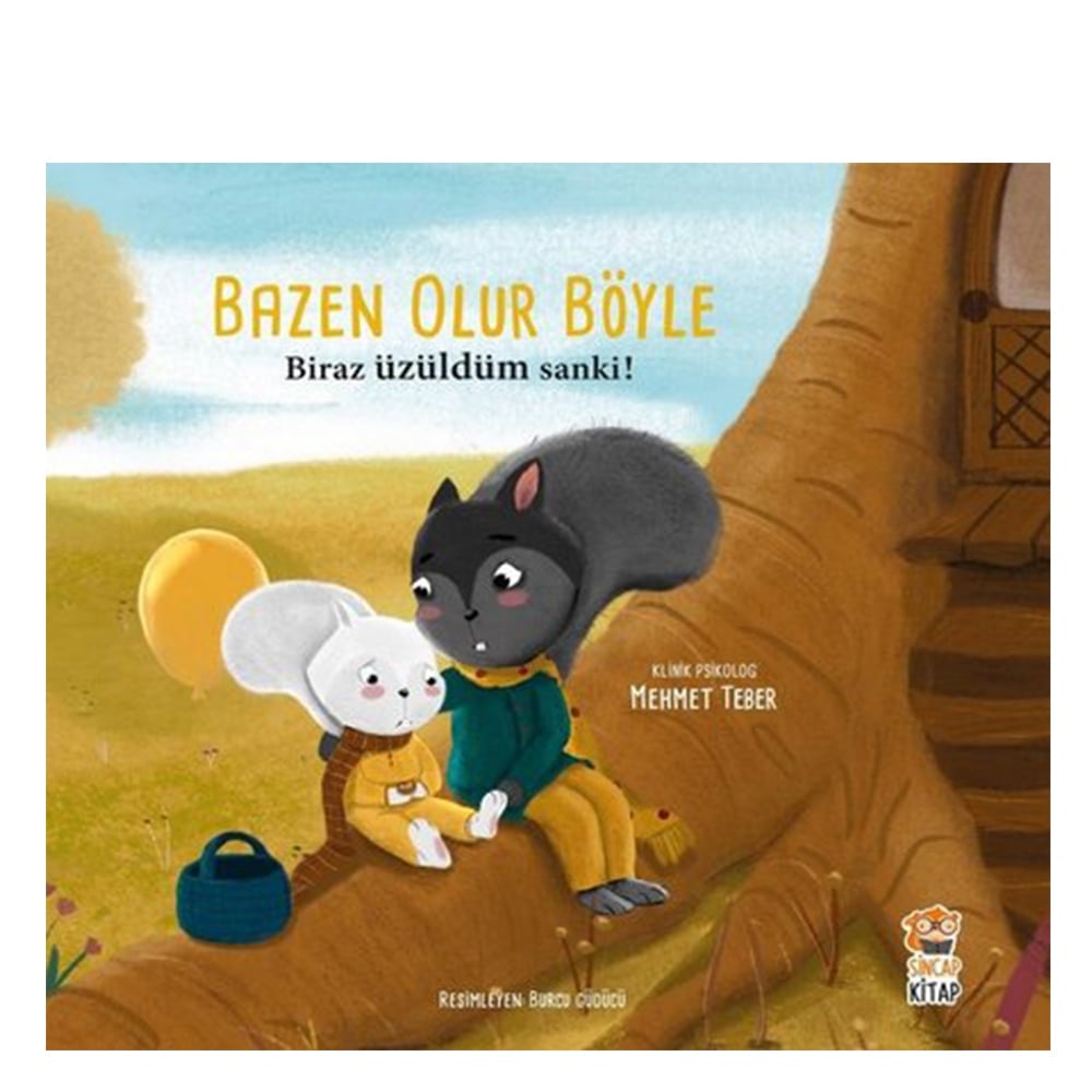 BAZEN BÖYLE OLUR - BİRAZ ÜZÜLDÜM SANKİ Çocuk Kitapları Uzmanı - Children's Books Expert