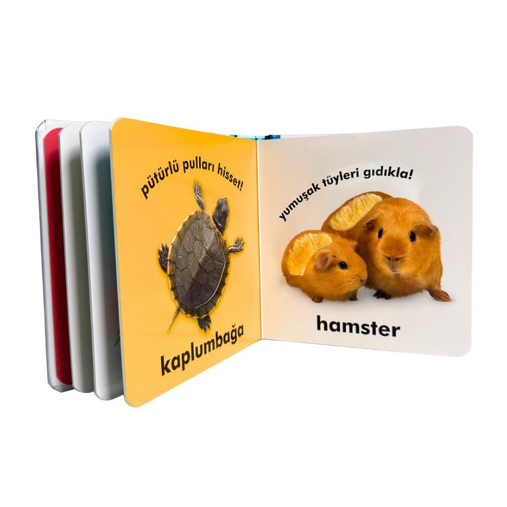 Bebek Dokun ve Hisset - Evcil Hayvanlar Çocuk Kitapları Uzmanı - Children's Books Expert
