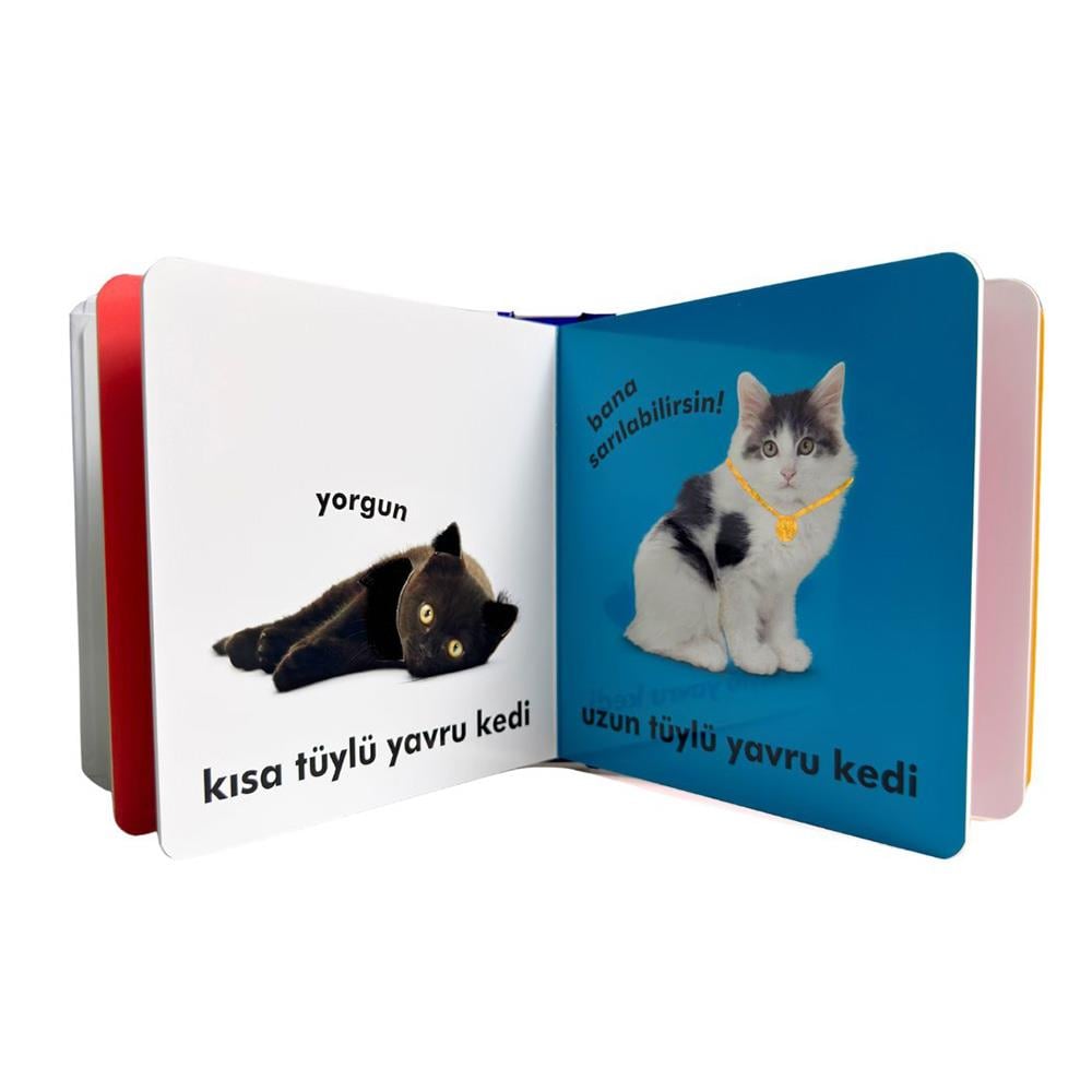 Bebek Dokun ve Hisset - Yavru Kediler Çocuk Kitapları Uzmanı - Children's Books Expert