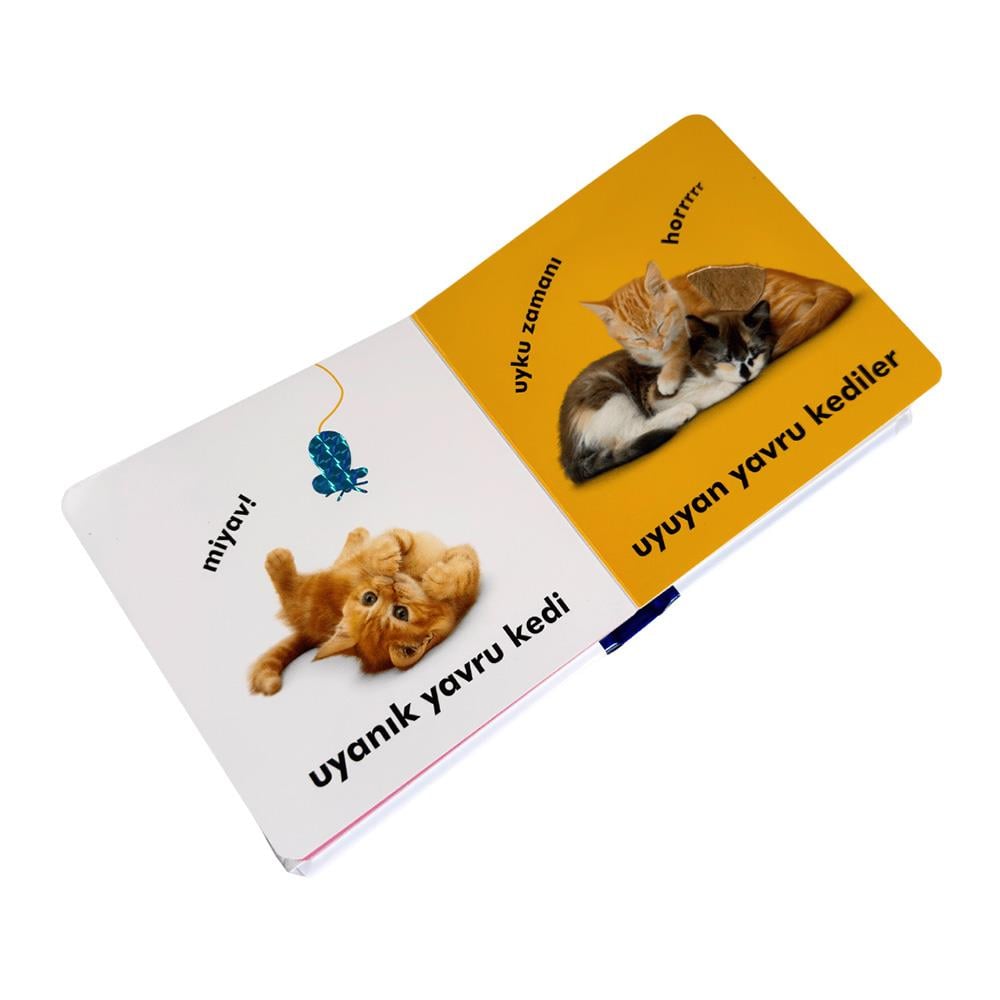 Bebek Dokun ve Hisset - Yavru Kediler Çocuk Kitapları Uzmanı - Children's Books Expert