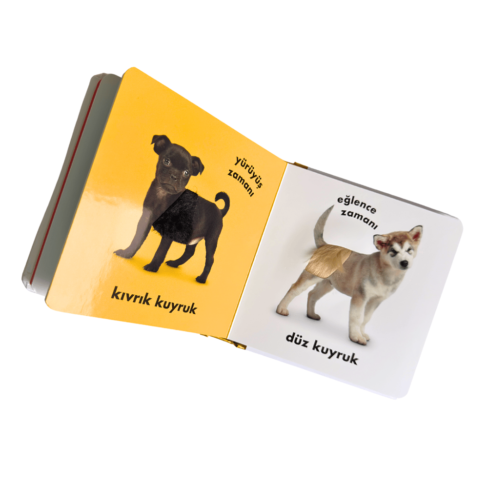 Bebek Dokun ve Hisset - Yavru Köpekler Çocuk Kitapları Uzmanı - Children's Books Expert