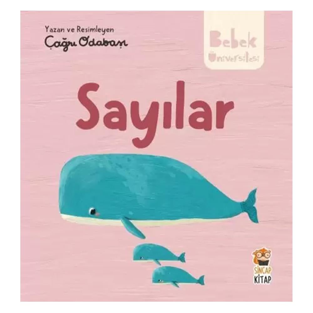 BEBEK ÜNİVERSİTESİ - SAYILAR Çocuk Kitapları Uzmanı - Children's Books Expert