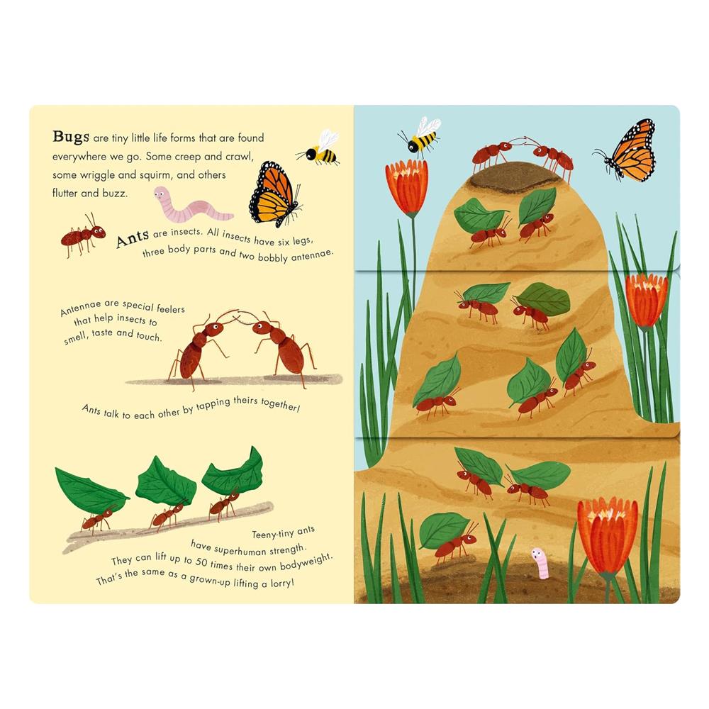 Bees and Beetles - A Flip-Flap Book of Bugs Çocuk Kitapları Uzmanı - Children's Books Expert