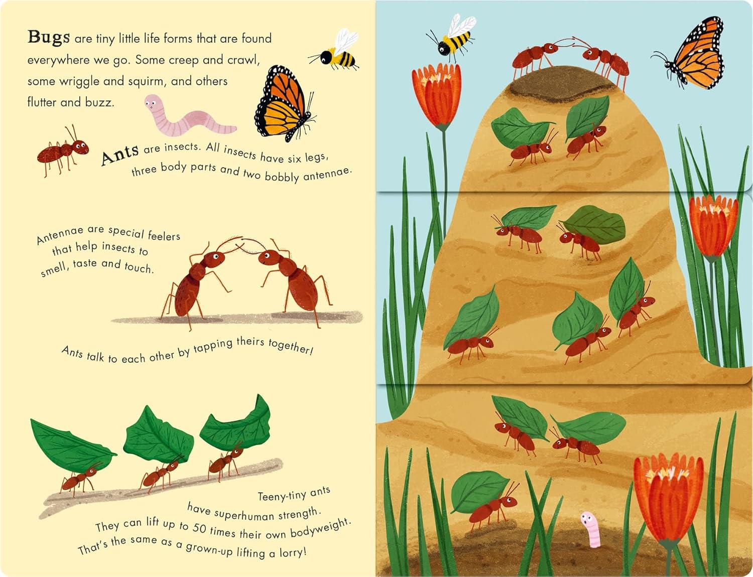 Bees and Beetles - A Flip-Flap Book of Bugs Çocuk Kitapları Uzmanı - Children's Books Expert