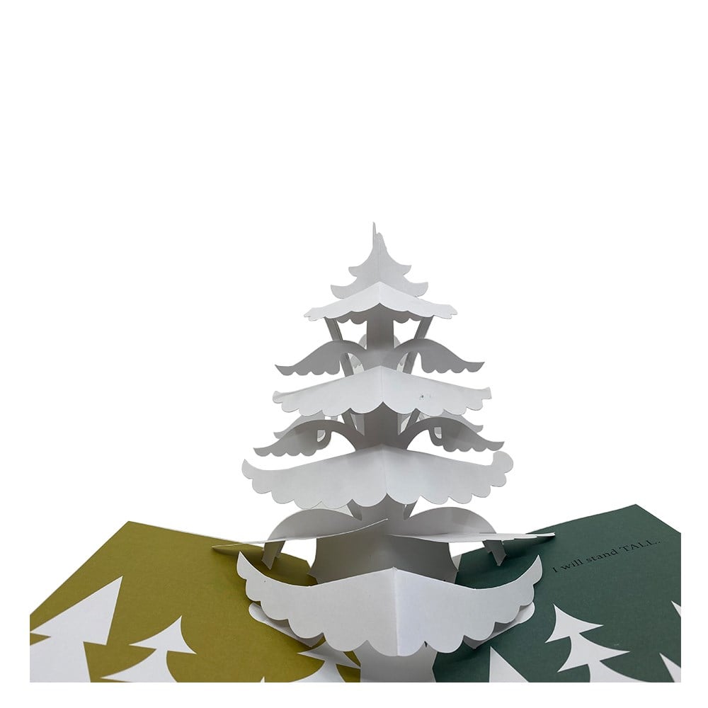 BELIEVE - A POP-UP BOOK TO INSPIRE YOU Çocuk Kitapları Uzmanı - Children's Books Expert