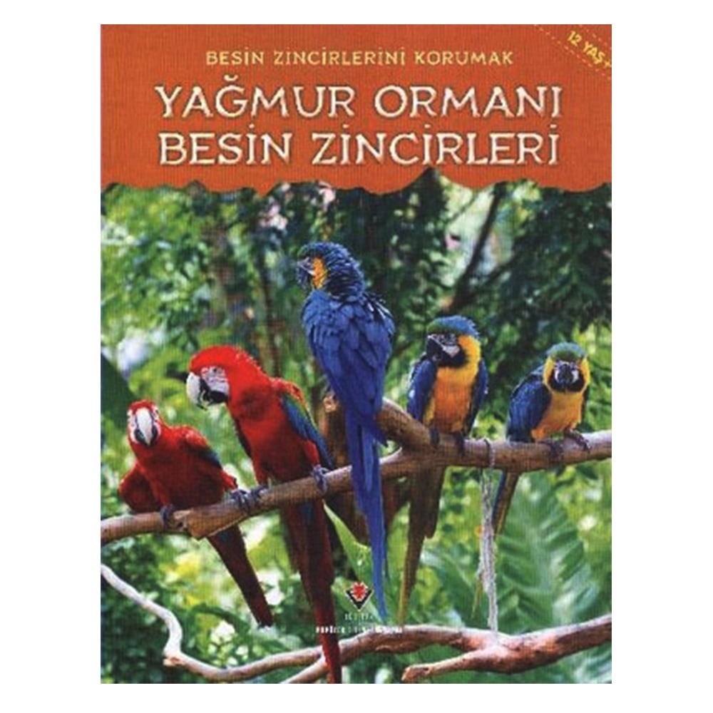 BESİN ZİNCİRLERİNİ KORUMAK YAĞMUR ORMANI BESİN ZİN Çocuk Kitapları Uzmanı - Children's Books Expert