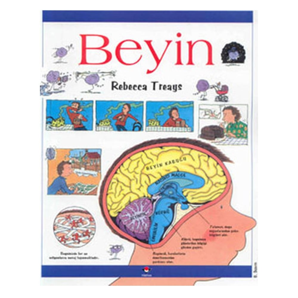 BEYİN Çocuk Kitapları Uzmanı - Children's Books Expert