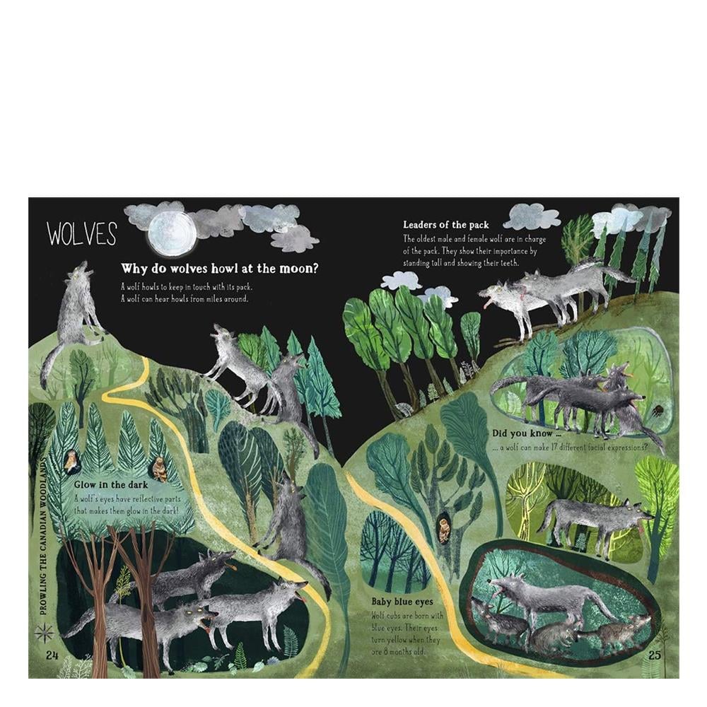 Big Book of Beasts Çocuk Kitapları Uzmanı - Children's Books Expert