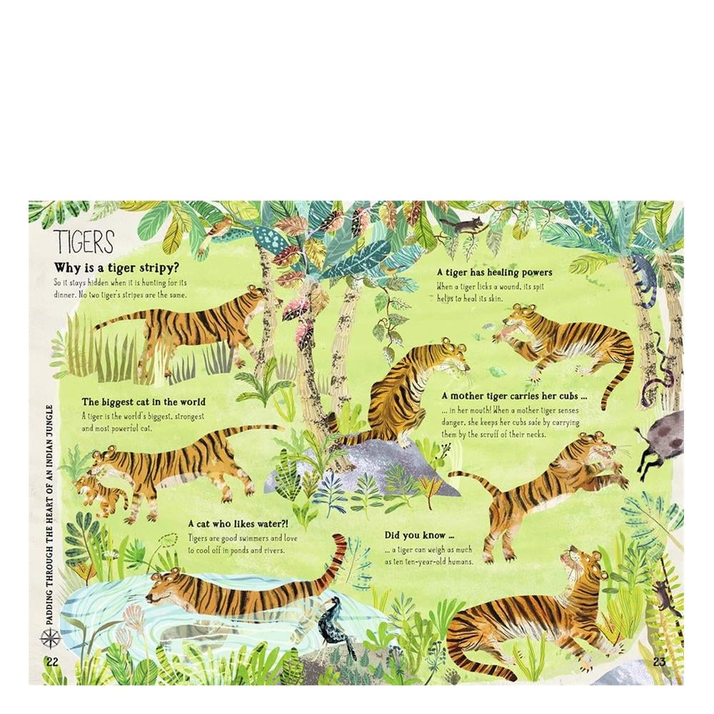 Big Book of Beasts Çocuk Kitapları Uzmanı - Children's Books Expert