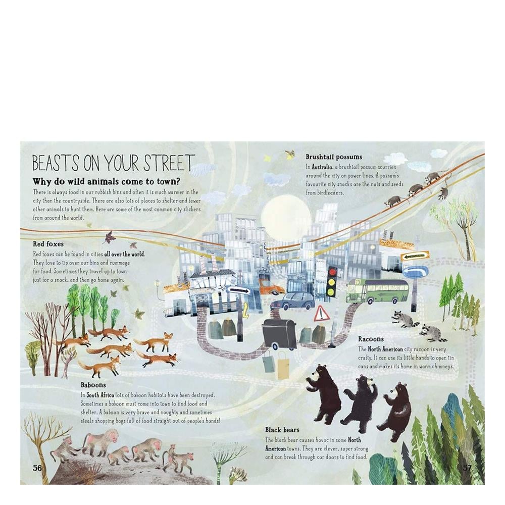 Big Book of Beasts Çocuk Kitapları Uzmanı - Children's Books Expert