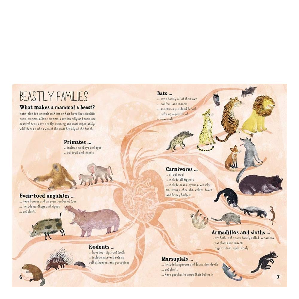 Big Book of Beasts Çocuk Kitapları Uzmanı - Children's Books Expert