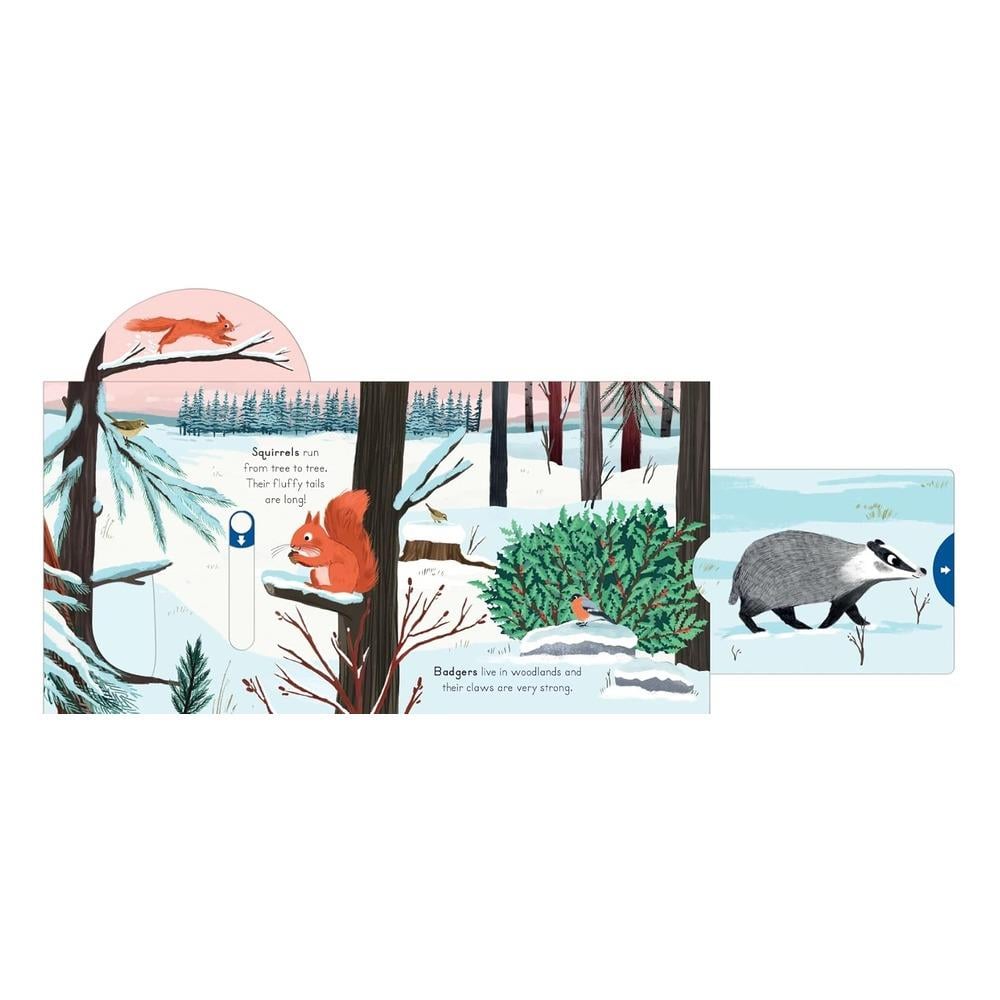 Big Outdoors for Little Explorers: Snow Çocuk Kitapları Uzmanı - Children's Books Expert