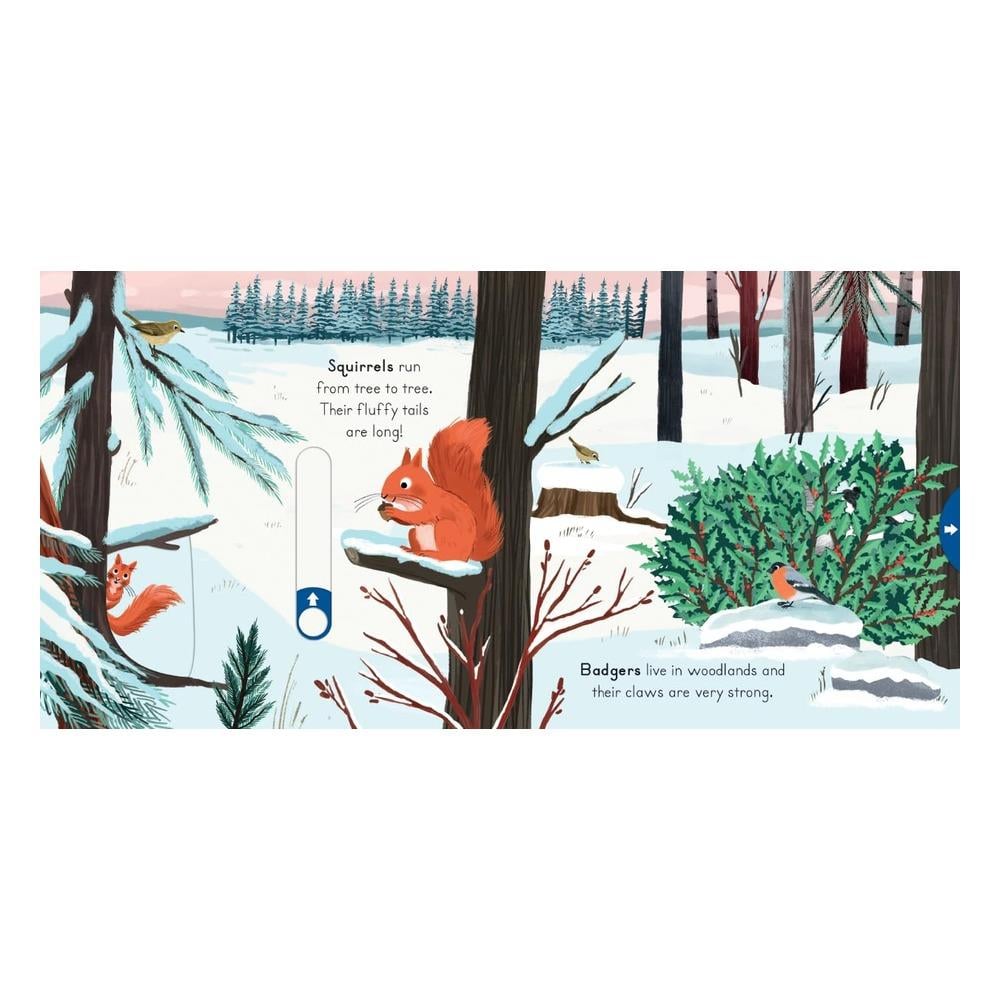 Big Outdoors for Little Explorers: Snow Çocuk Kitapları Uzmanı - Children's Books Expert