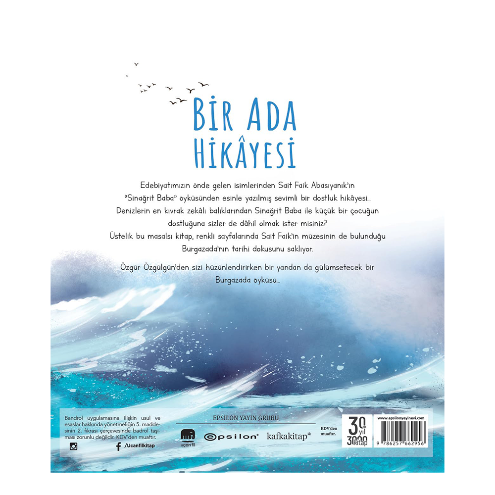 Bir Ada Hikayesi Çocuk Kitapları Uzmanı - Children's Books Expert