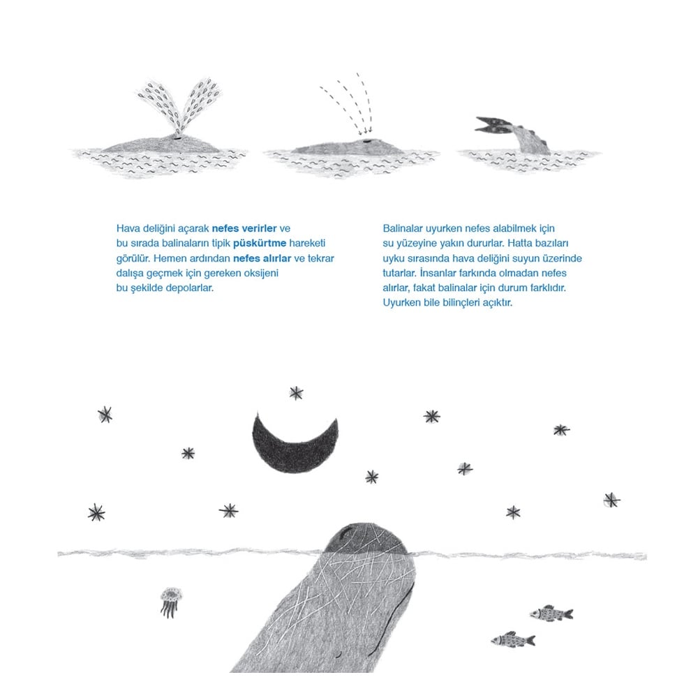 BİR BALİNA KİTABI Çocuk Kitapları Uzmanı - Children's Books Expert