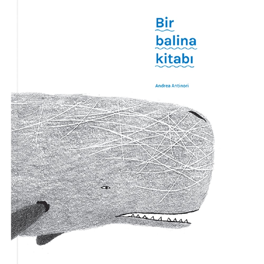 BİR BALİNA KİTABI Çocuk Kitapları Uzmanı - Children's Books Expert