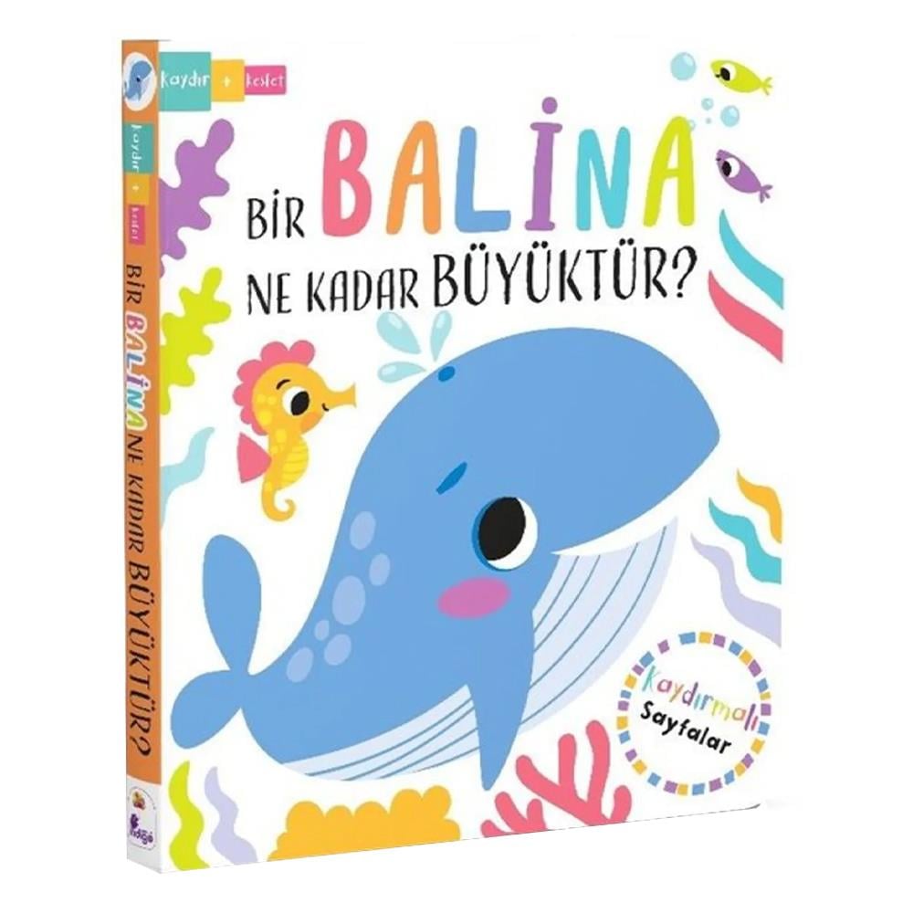 Bir Balina Ne Kadar Büyüktür Çocuk Kitapları Uzmanı - Children's Books Expert