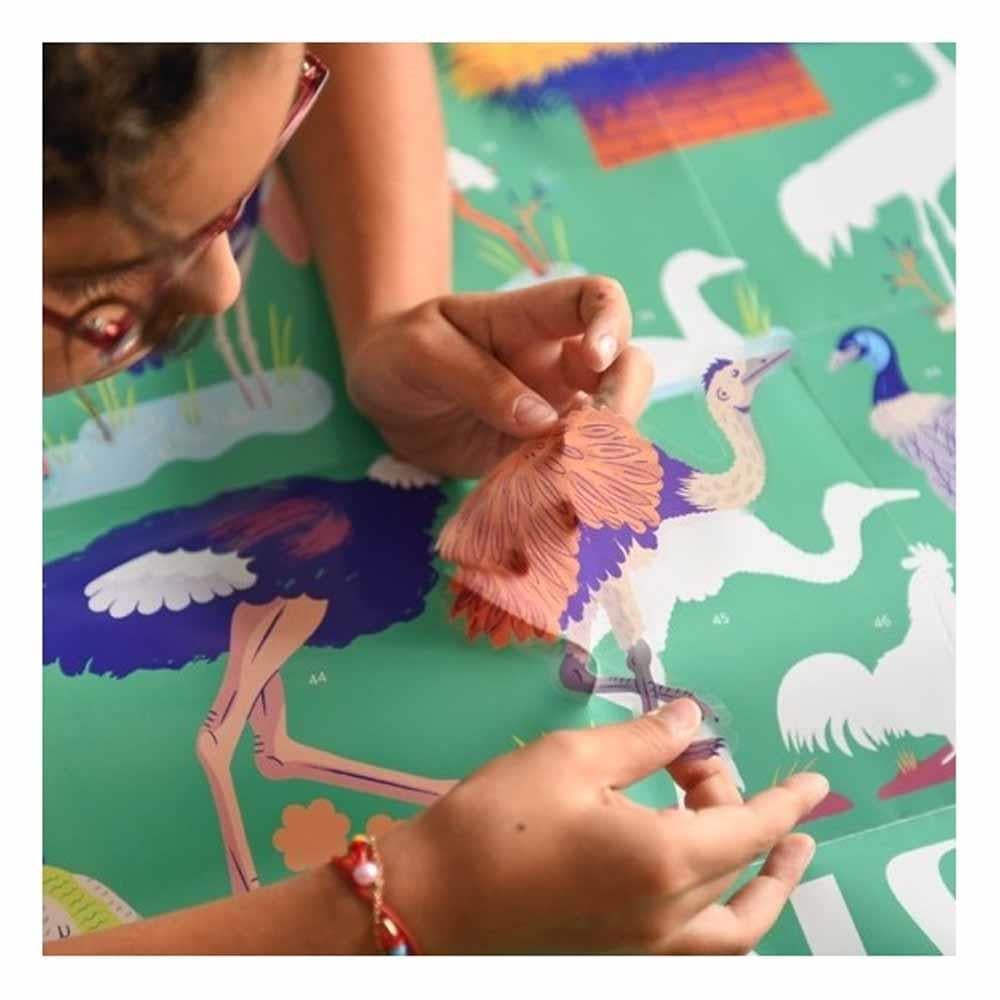 Birds - Discovery Poster Çocuk Kitapları Uzmanı - Children's Books Expert