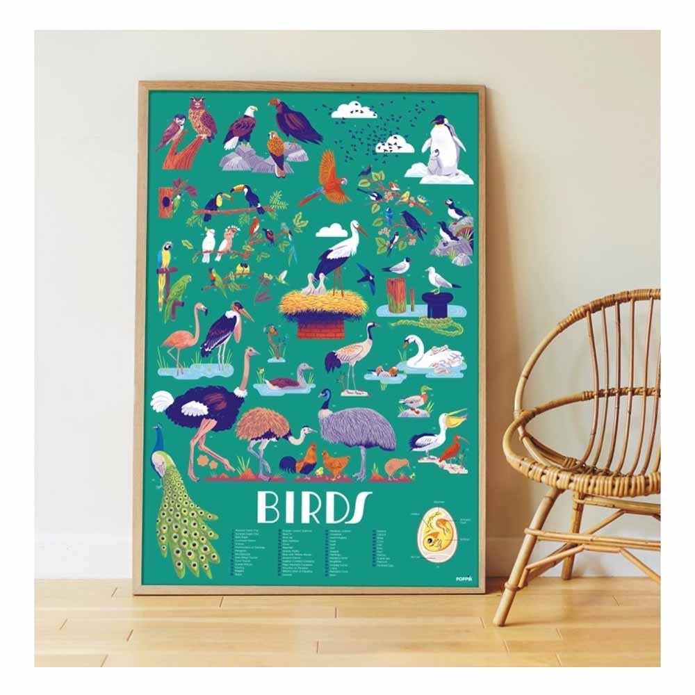 Birds - Discovery Poster Çocuk Kitapları Uzmanı - Children's Books Expert