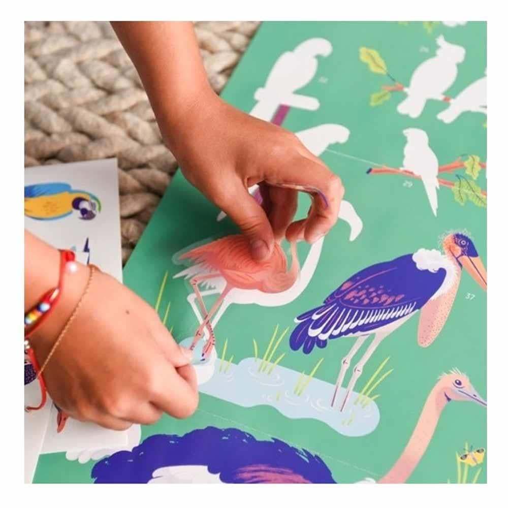 Birds - Discovery Poster Çocuk Kitapları Uzmanı - Children's Books Expert