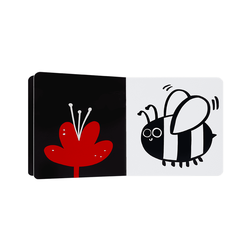 Birinci Kitabım Çocuk Kitapları Uzmanı - Children's Books Expert