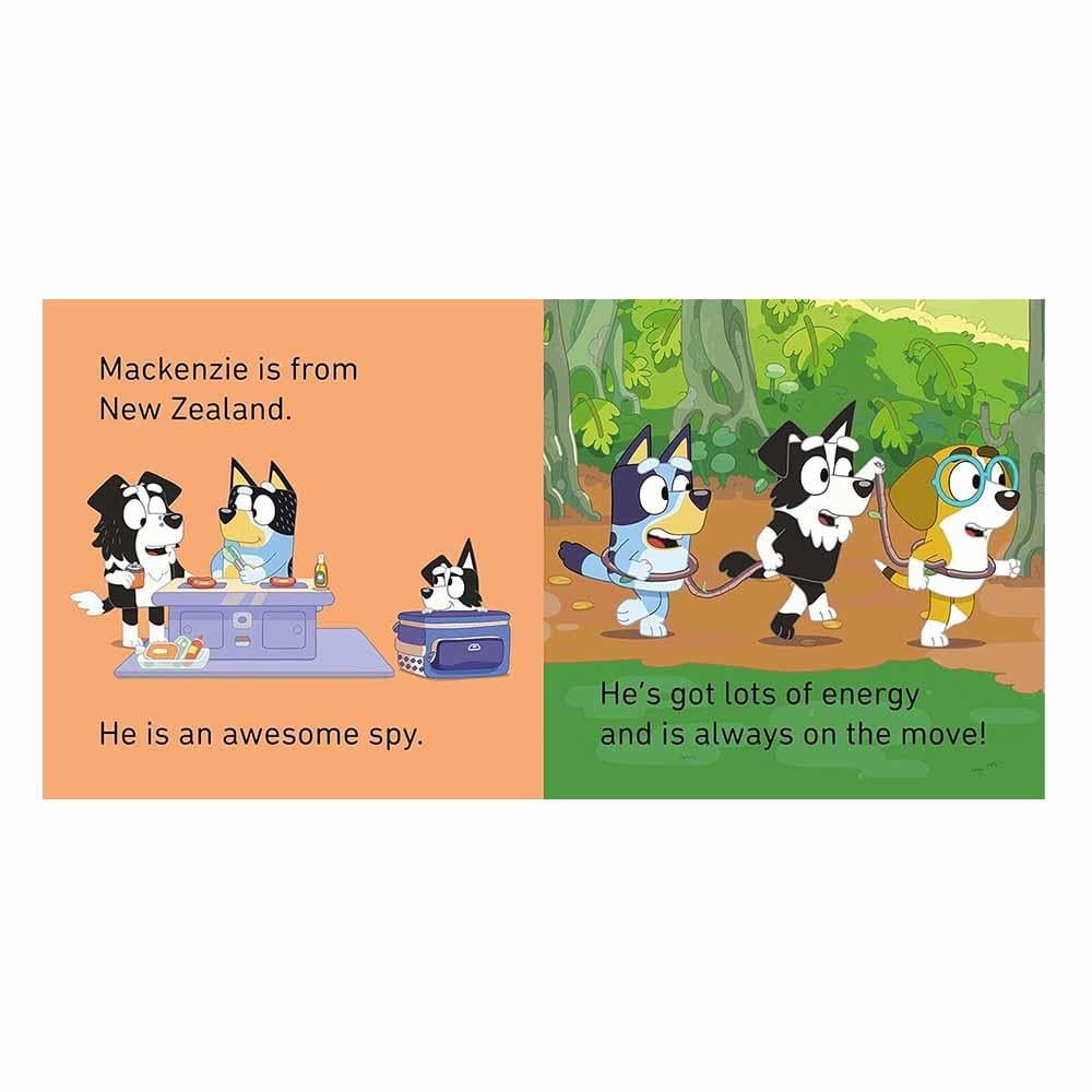 Bluey - Bluey and Friends Little Library Çocuk Kitapları Uzmanı - Children's Books Expert