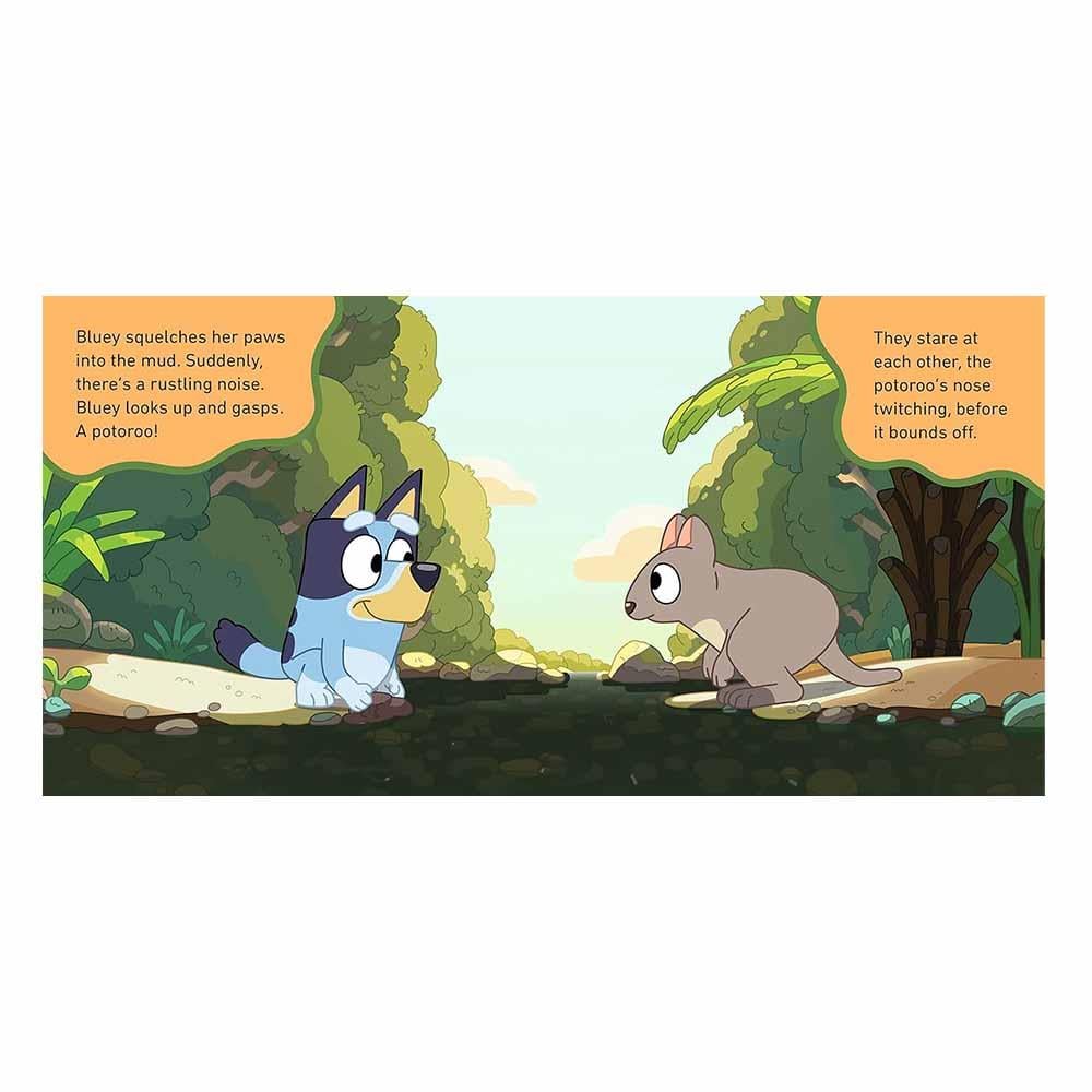 Bluey - The Creek - Board Book Çocuk Kitapları Uzmanı - Children's Books Expert