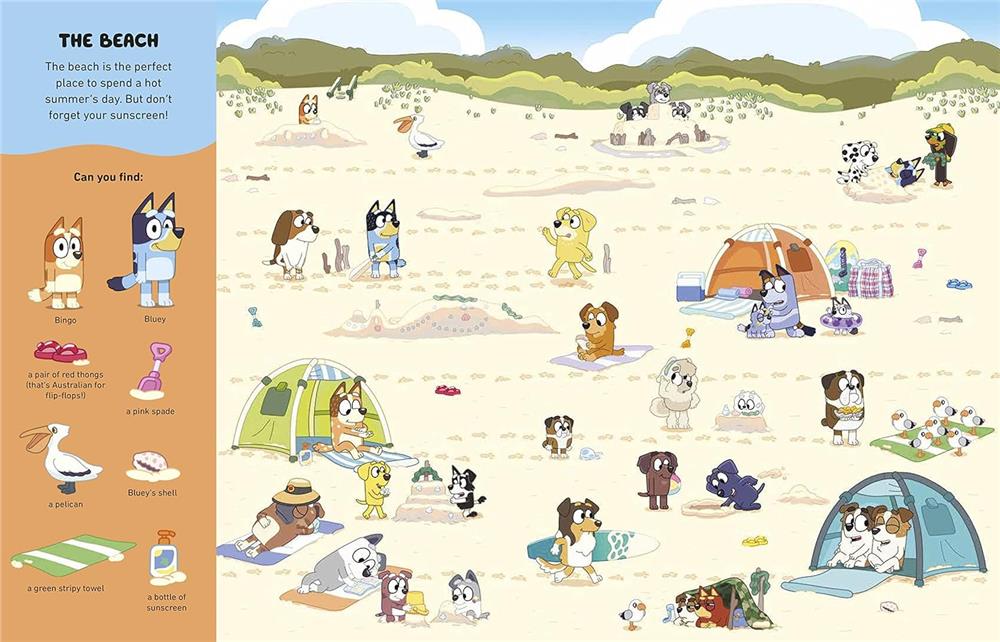 Bluey - Wheres Bluey Search a Find Book Çocuk Kitapları Uzmanı - Children's Books Expert