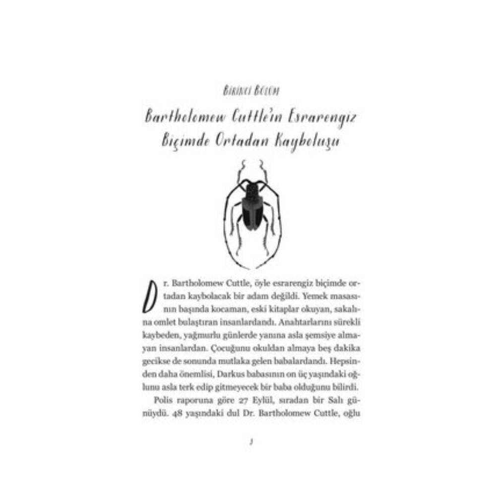 BÖCEK ÇOCUK Çocuk Kitapları Uzmanı - Children's Books Expert