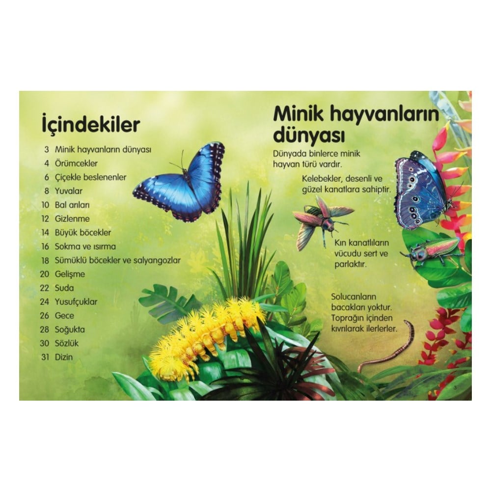 BÖCEKLER VE DİĞER MİNİK HAYVANLAR - İLK OKUMA Çocuk Kitapları Uzmanı - Children's Books Expert