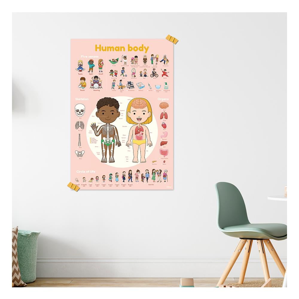 BODY - DISCOVERY POSTER Çocuk Kitapları Uzmanı - Children's Books Expert