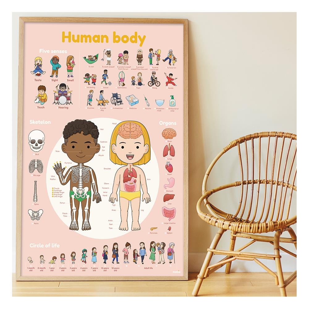 BODY - DISCOVERY POSTER Çocuk Kitapları Uzmanı - Children's Books Expert
