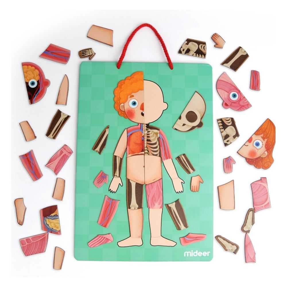BODY MAGNET Çocuk Kitapları Uzmanı - Children's Books Expert