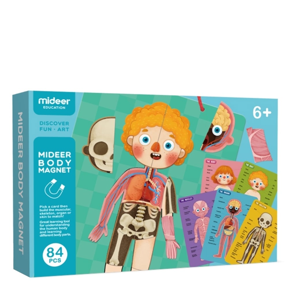 BODY MAGNET Çocuk Kitapları Uzmanı - Children's Books Expert