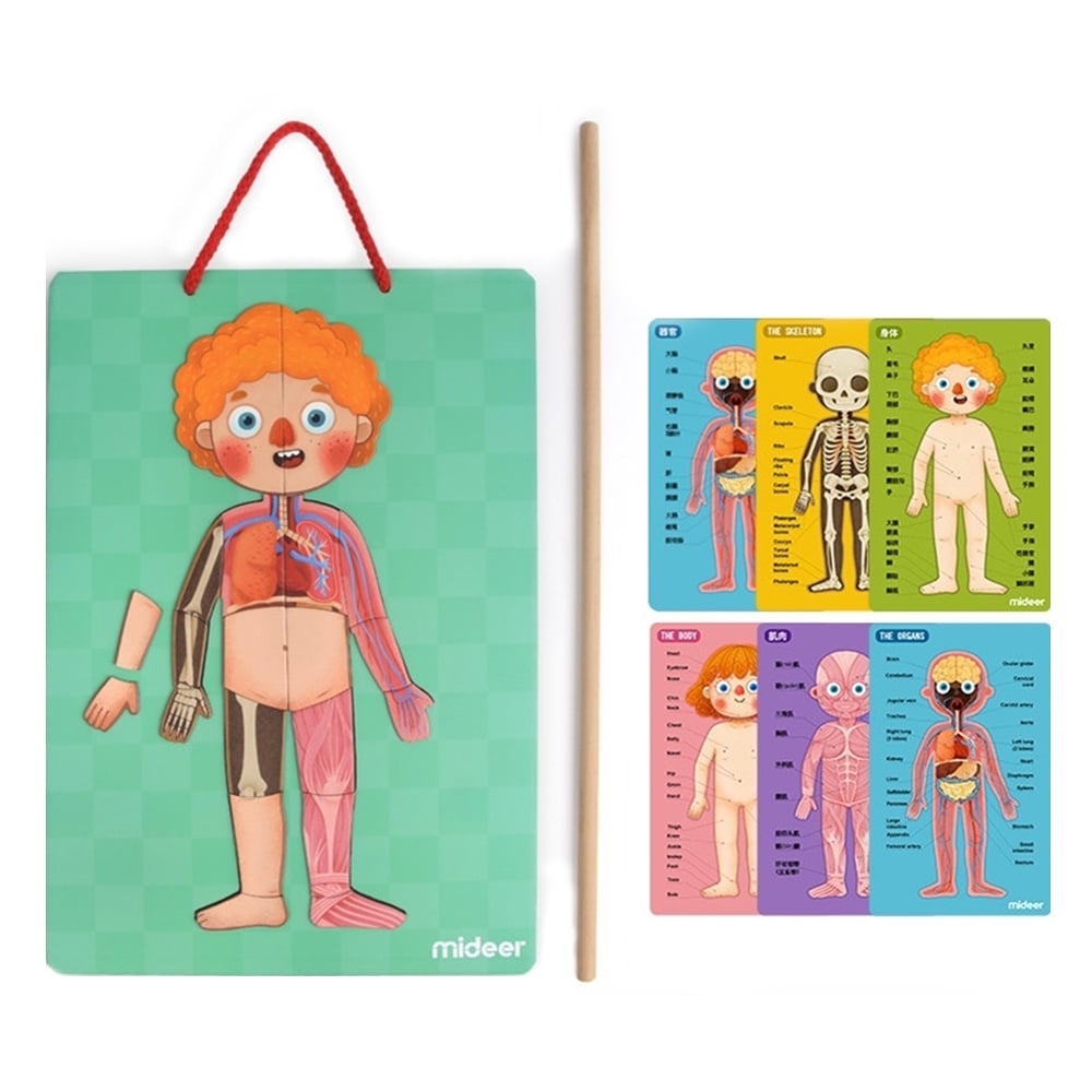 BODY MAGNET Çocuk Kitapları Uzmanı - Children's Books Expert
