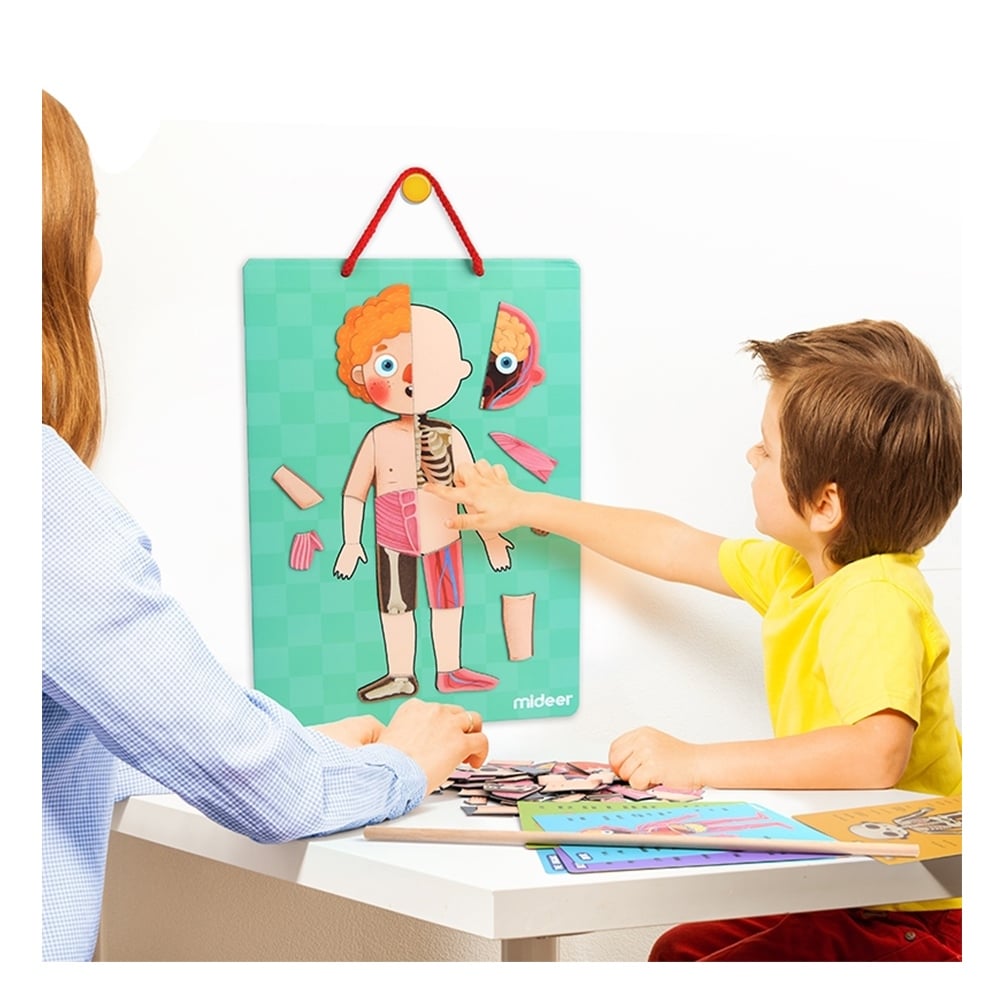 BODY MAGNET Çocuk Kitapları Uzmanı - Children's Books Expert