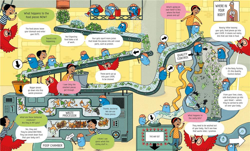 Book of the Body and How it Works Çocuk Kitapları Uzmanı - Children's Books Expert