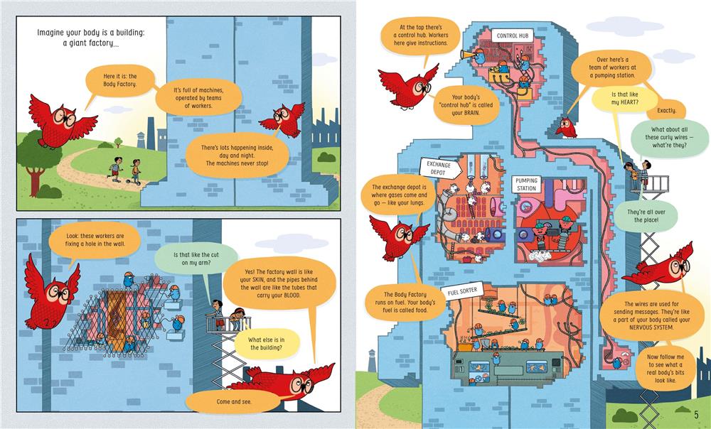 Book of the Body and How it Works Çocuk Kitapları Uzmanı - Children's Books Expert