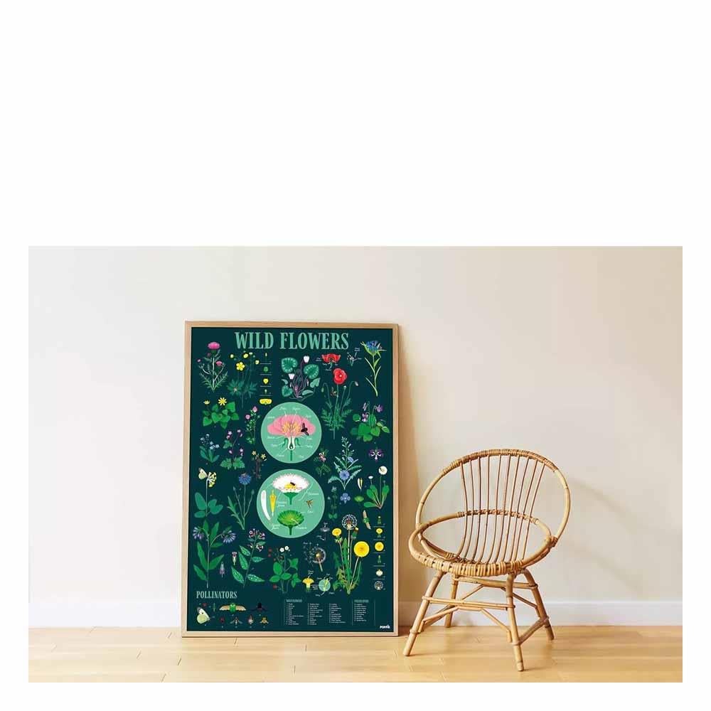 Botanic - Discovery Stickers Çocuk Kitapları Uzmanı - Children's Books Expert