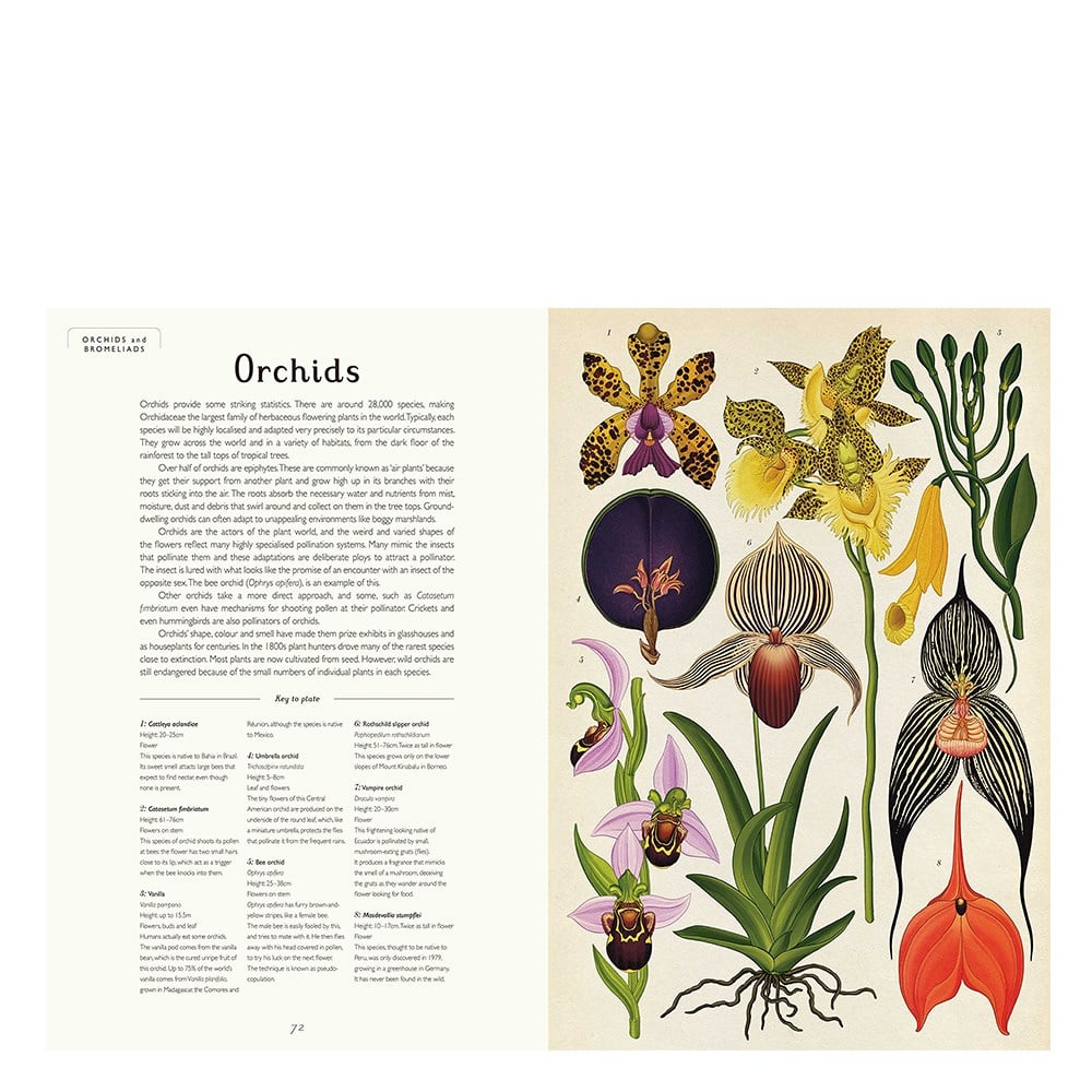 BOTANICUM Çocuk Kitapları Uzmanı - Children's Books Expert