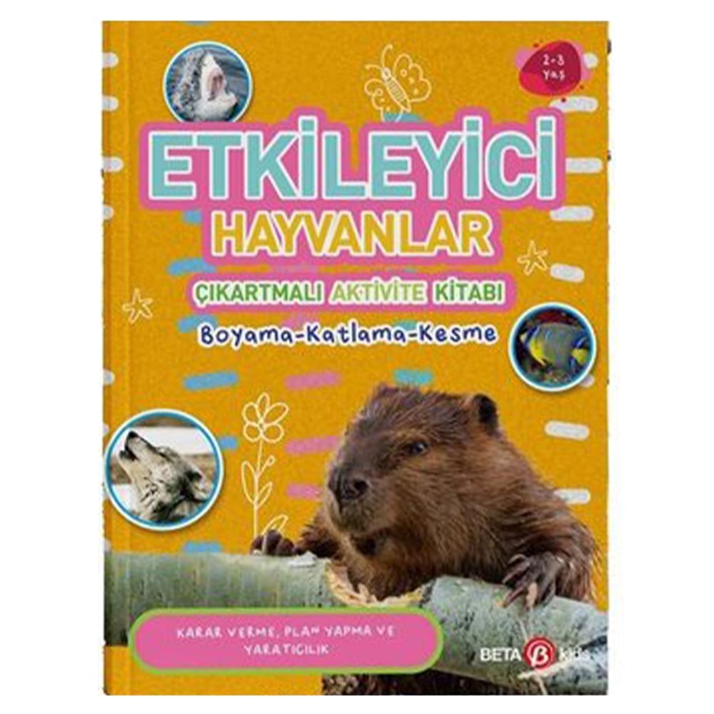 BOYAMA - KATLAMA - KESME Çocuk Kitapları Uzmanı - Children's Books Expert