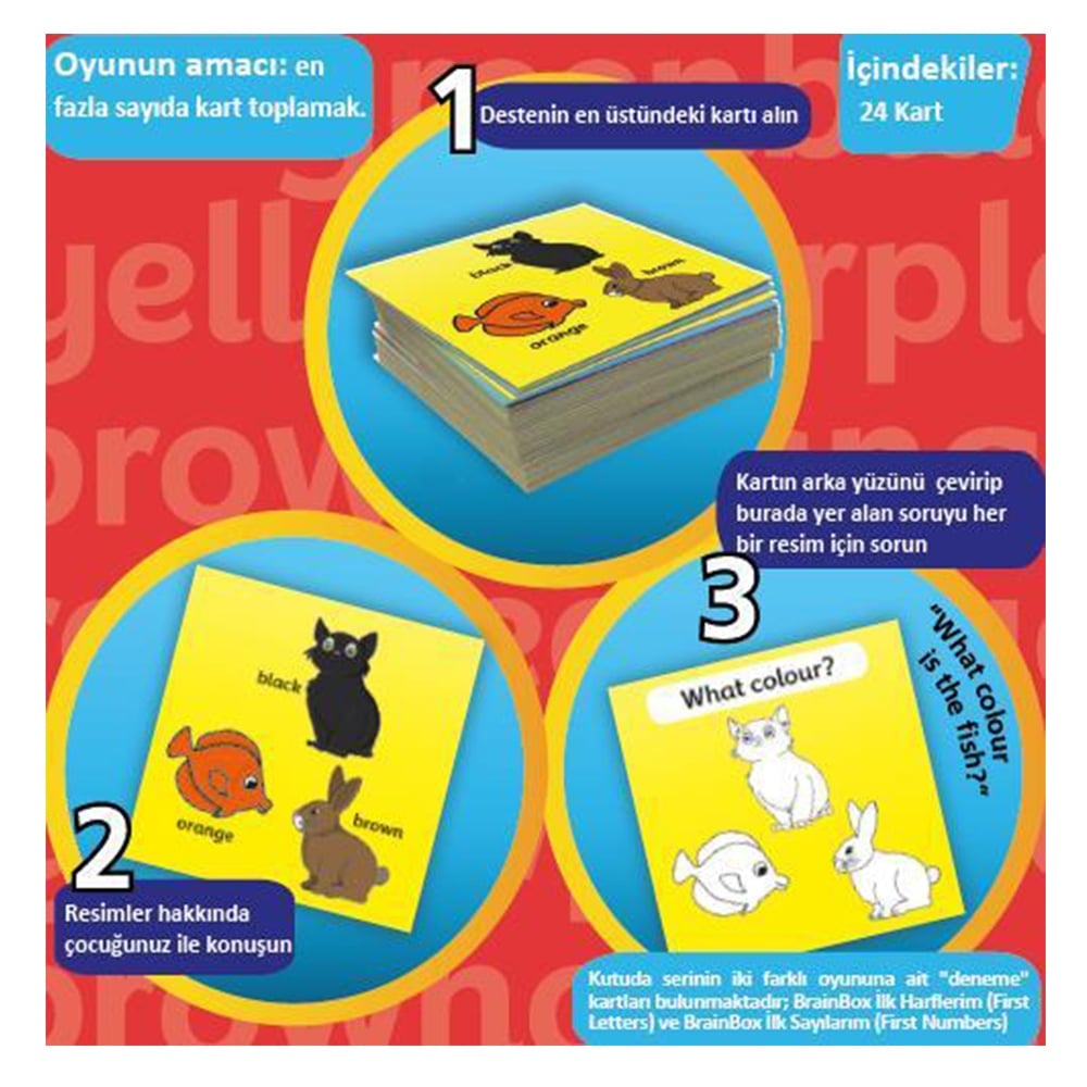 BRAINBOX İLK RENKLERİM
