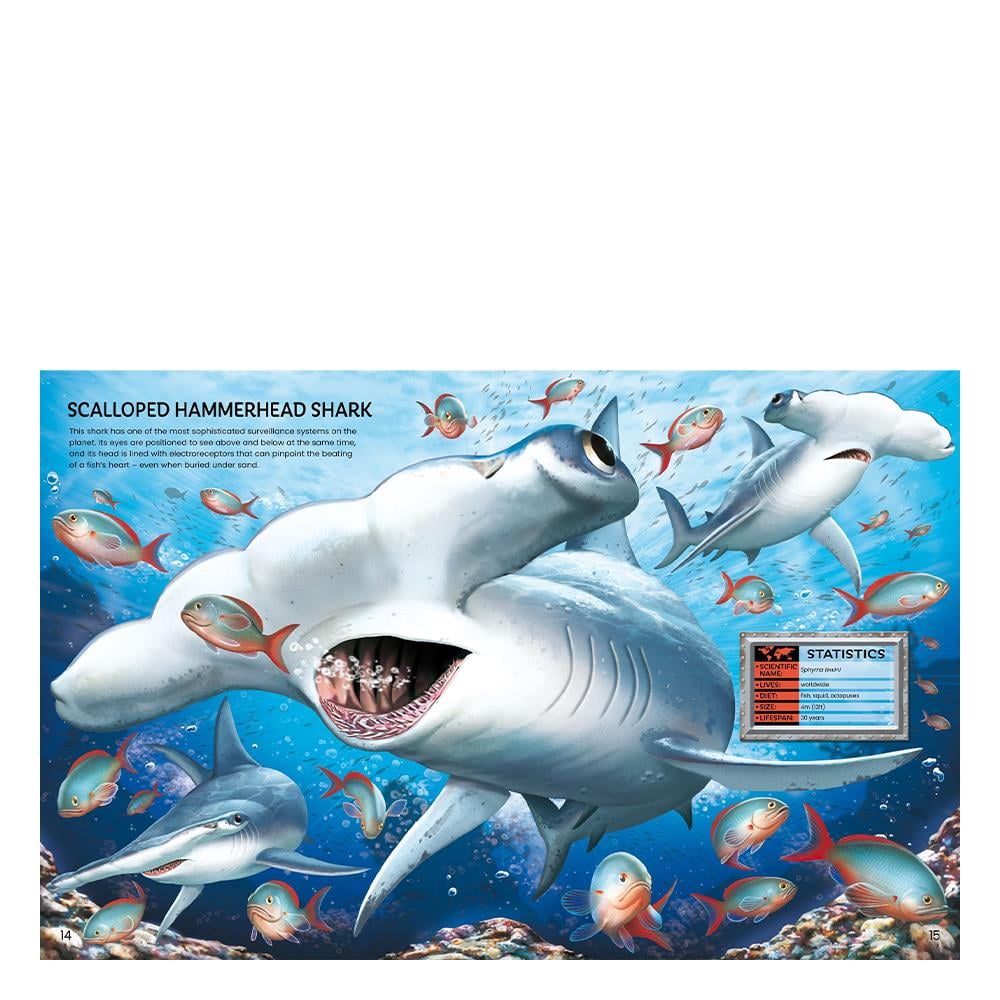 Build Your Own Sea Creatures Sticker Book Çocuk Kitapları Uzmanı - Children's Books Expert