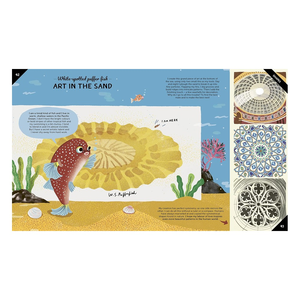 Built by Animals Çocuk Kitapları Uzmanı - Children's Books Expert