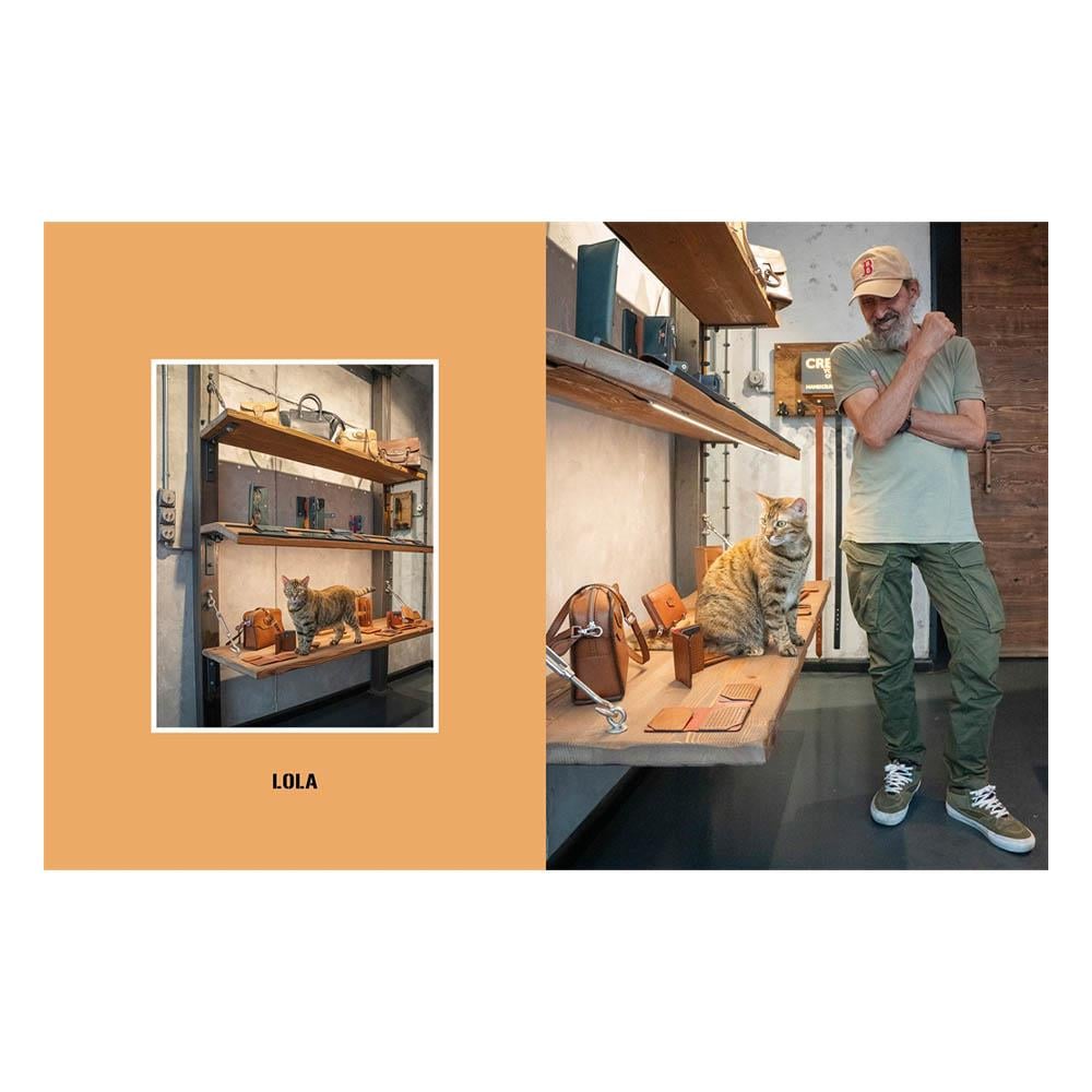 City Cats of Istanbul Çocuk Kitapları Uzmanı - Children's Books Expert