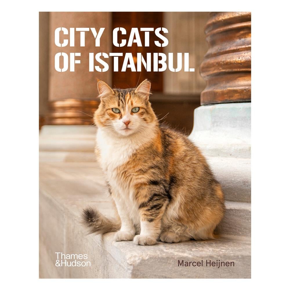 City Cats of Istanbul Çocuk Kitapları Uzmanı - Children's Books Expert