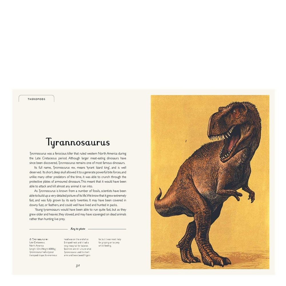 DINOSAURIUM JUNIOR EDITION Çocuk Kitapları Uzmanı - Children's Books Expert