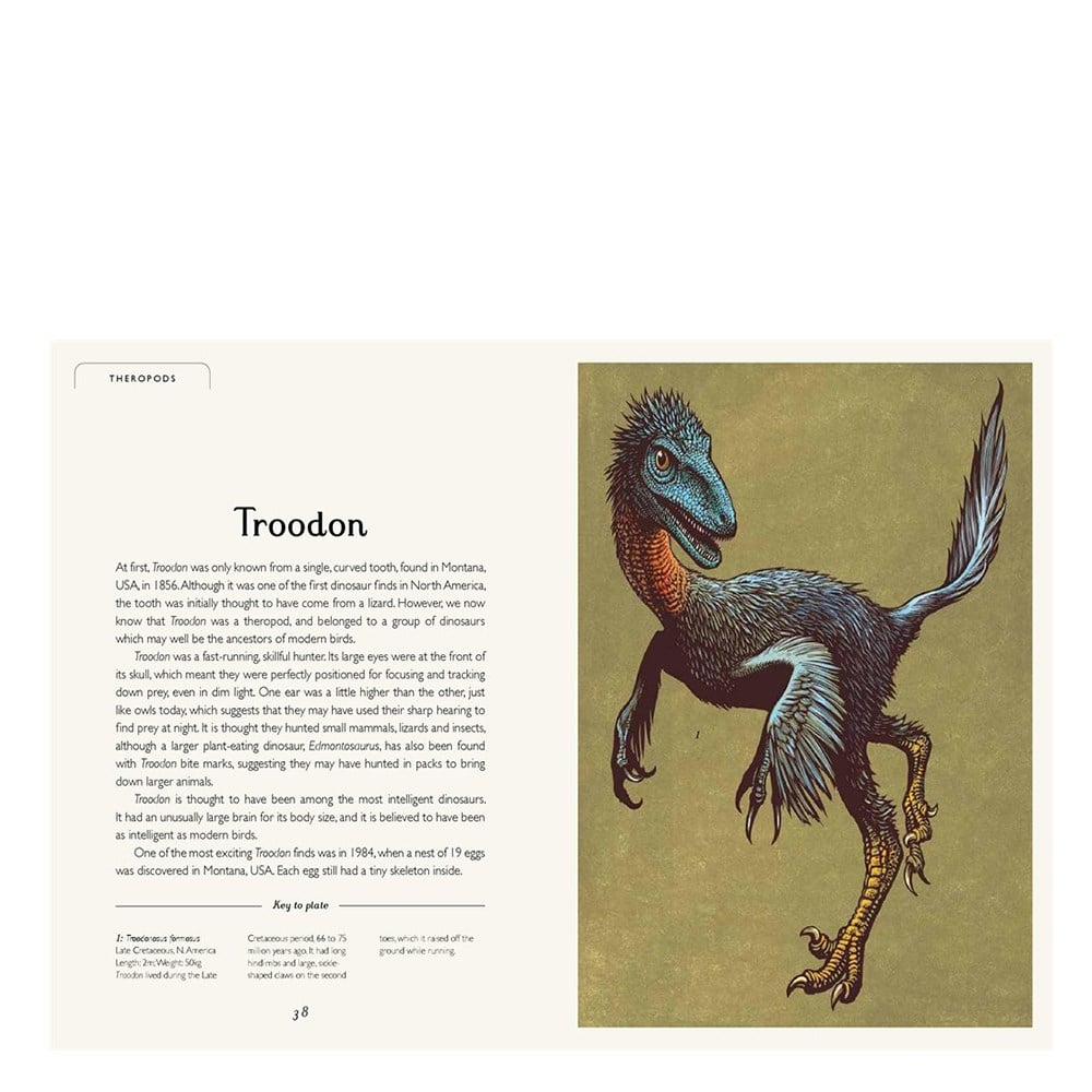 DINOSAURIUM JUNIOR EDITION Çocuk Kitapları Uzmanı - Children's Books Expert