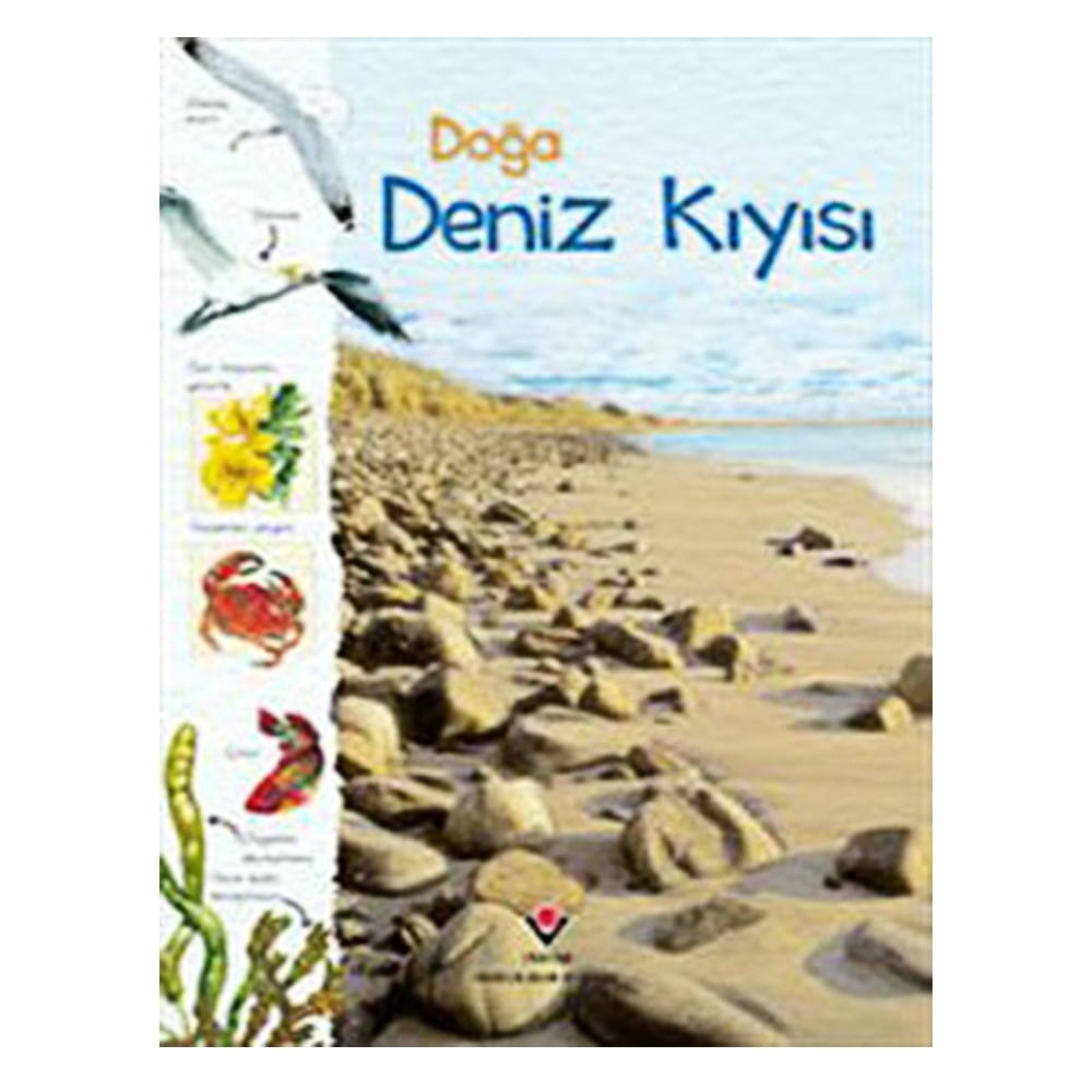 DOĞA DENİZ KIYISI Çocuk Kitapları Uzmanı - Children's Books Expert
